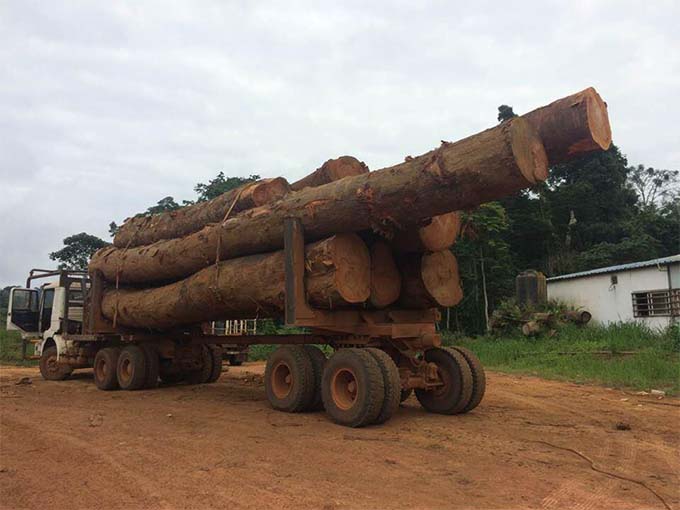 tất cả về tai nạn xe tải khai thác gỗ và cách bạn có thể tránh chúng